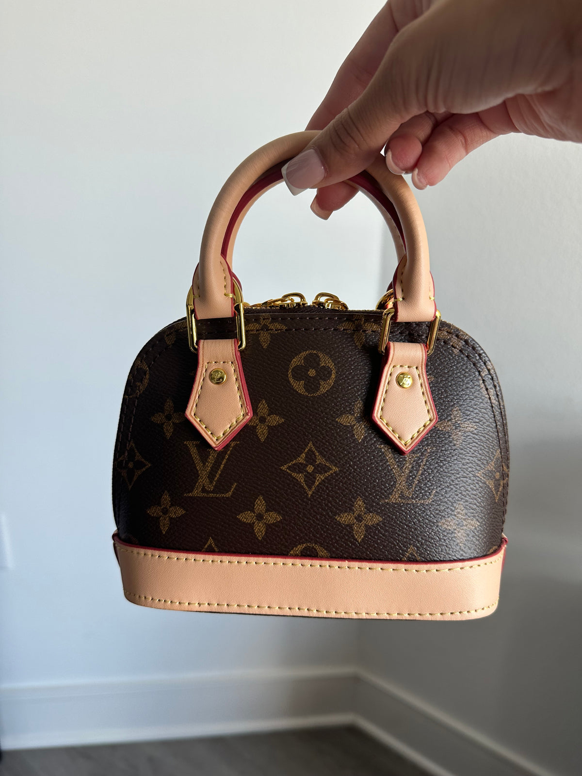LV mini bag